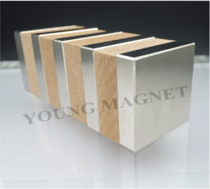 Magnet Rectangular Neodymium